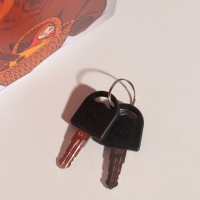 Сейф-книга дерево кожзам "Из России с любовью" тиснение 21х13х5 см