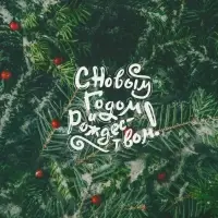 Бумага упаковочная новогодняя глянцевая &laquo;Еловые ветки&raquo;, 50&times;70 см