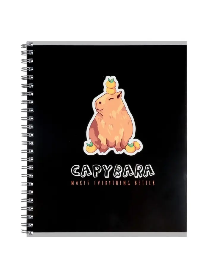 Компл тетр из 3шт 80л кл на гребне Capy, обл мел карт, офсет (7424104)