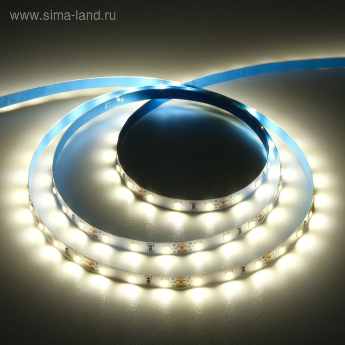 Светодиодная лента Ecola PRO 5 м, IP20, SMD5060, 60 LED/м, 11 Вт/м, 12 В, 2800К Светодиодная лента Ecola PRO 5 м, IP20, SMD5060, 60 LED/м, 11 Вт/м, 12 В, 2800К