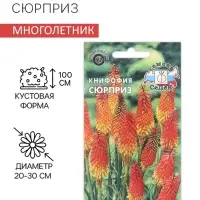 Семена цветов Книфофия "Сюрприз", Евро, 0,2 г