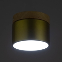 Светильник "Алтер" LED 7Вт 4000К золото 10х10х8 см BayerLux