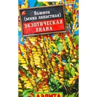 Семена цветов Вьюнок Экзотическая лиана , Ц/П,0,4 г