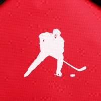 Рюкзак Putin team, 29 x 13 x 44 см, отд на молнии, н/карман, красный Рюкзак Putin team, 29 x 13 x 44 см, отд на молнии, н/карман, красный