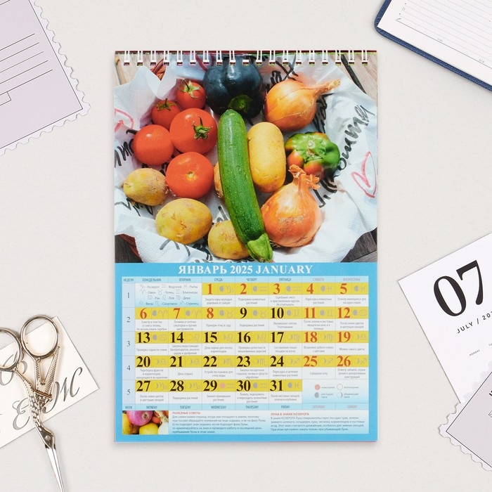Календарь на пружине без ригеля "Лунный, садово-огородный " 2025 год, 17 х 25 см