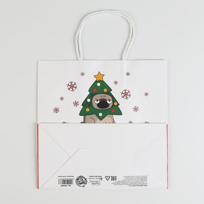 Пакет подарочный новогодний &laquo;А вас также&raquo;, 22 х 22 х 11 см, Новый год