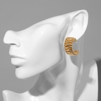 Серьги металл &laquo;Геометрия&raquo; дорожка акары, цвет золото, d=3,3 см