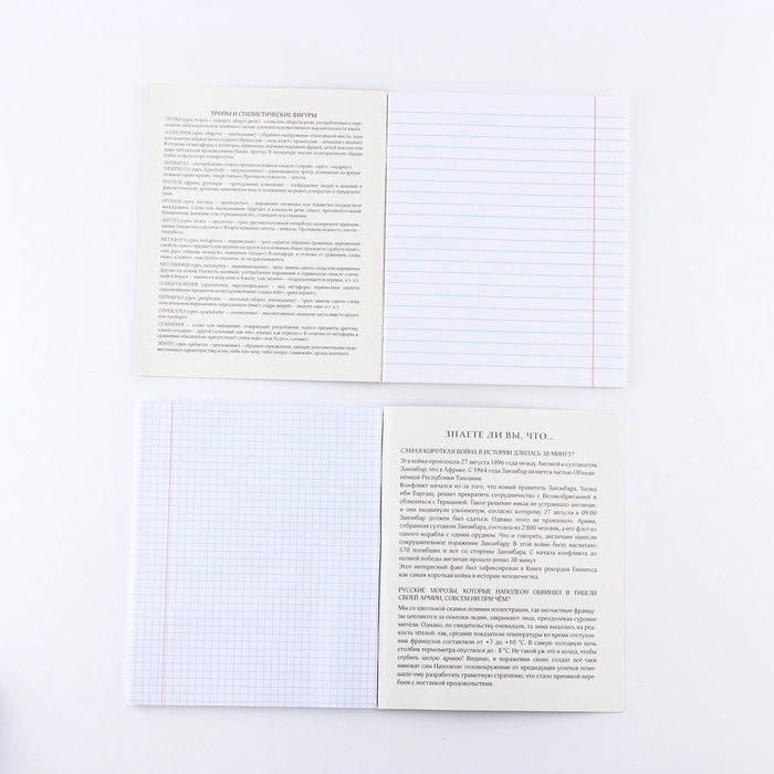 Набор тетрадей 48 листов, 10 предметов, внутренний блок №1 МИКС &laquo;1 сентября: Неон&raquo; Софт тач лам, 3D лак