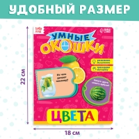 Книжка картонная с окошками «Цвета», 10 стр. Книжка картонная с окошками «Цвета», 10 стр.