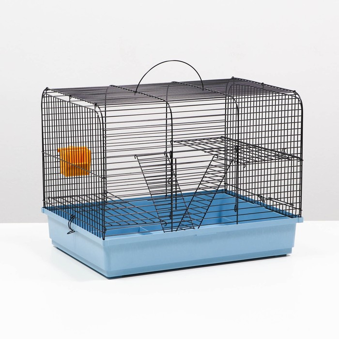 Клетка для грызунов Клетка для грызунов "Сеня 2", 50 x 37 x 37 см, микс цветов