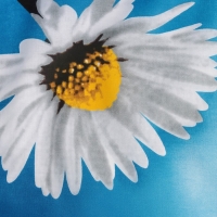 Чехол для гладильной доски Nika, 130&times;52 см, с поролоном, рисунок МИКС