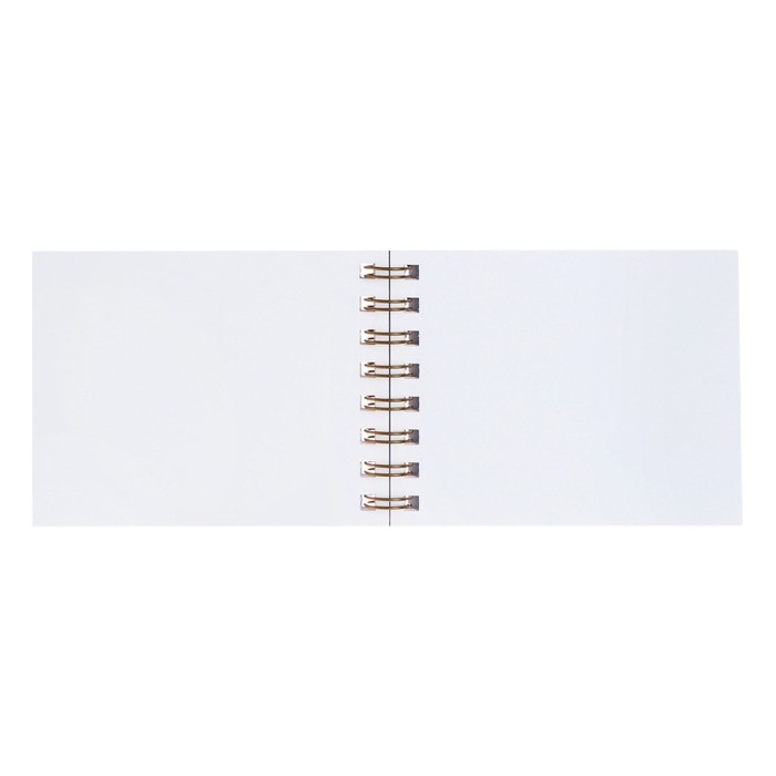 Скетчбук А6, 80 листов на гребне по короткой стороне "Дружок", твёрдая обложка, блок 100 г/м&sup2;