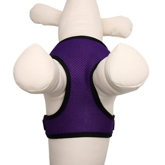 Шлейка мягкая из неопрена, размер L, ОШ 39 см, ОГ 36-46 см, фиолетовая