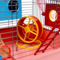 Клетка для грызунов "Хома 4", 55 x 37 x 42 см, микс цветов Клетка для грызунов "Хома 4", 55 x 37 x 42 см, микс цветов