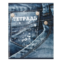 Комплект тетрадей из 4 штук, 96 листов в клетку Calligrata "Джинс", обложка мелованный картон, блок офсет