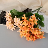 Букет "Кампсис элит" 27 см, микс