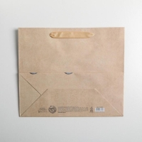 Пакет подарочный крафтовый горизонтальный, упаковка, &laquo;Present for you&raquo;, ML 27 х 23 х 11,5 см