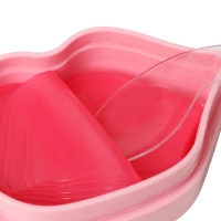 Патчи для губ с экстрактом розы, набор 20 шт