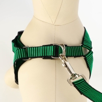 Комплект амуниции рельефный, поводок 120 х 2 см, ОГ 44-50 см, зелёно-чёрный