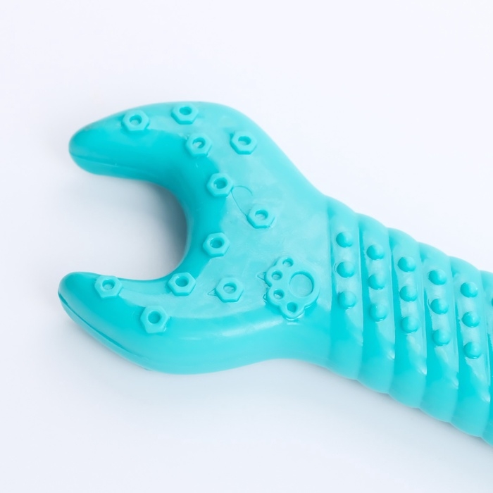 Игрушка массажная для собак "Ключ" 14 см, ТПР, микс цветов