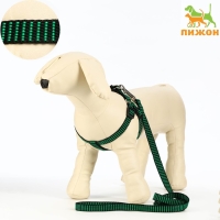 Комплект амуниции рельефный, 1,5 см, шлейка 36-49 см, поводок 120 см, зелёно-чёрный Комплект амуниции рельефный, 1,5 см, шлейка 36-49 см, поводок 120 см, зелёно-чёрный