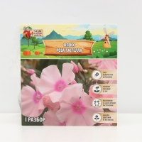 Флокс &laquo;Роза Пастелла&raquo; корневище в пакете с торфогрунтом, р-р I, 2 шт.