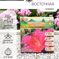 Лилия Восточная Gomera, луковица в пакете с перфорацией, р-р 14/16, 3 шт.