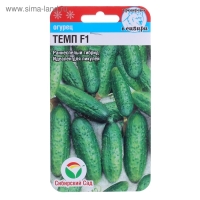 Семена Огурец Темп F1,партенокарпический, 5 шт Семена Огурец Темп F1,партенокарпический, 5 шт