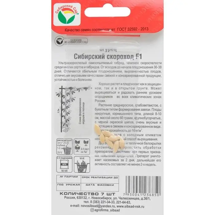 Семена Огурец "Сибирский скороход" F1, ультраскороспелый, партенокарпический, 7 шт