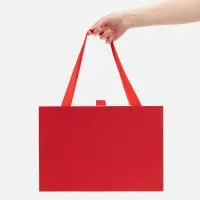 Коробка Regalis, красная