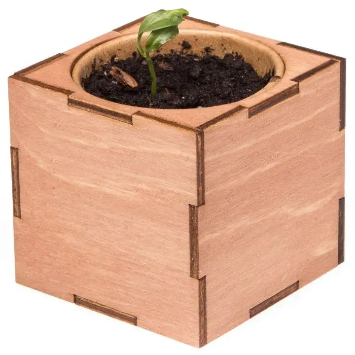 Набор для выращивания &laquo;Экокуб Lite&raquo;, сирень