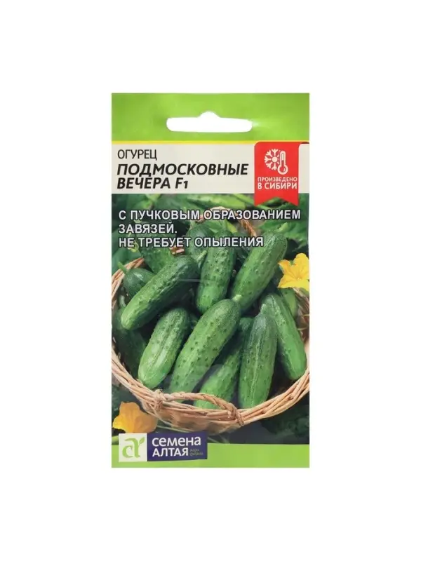 Семена Огурец "Подмосковные Вечера" F1, раннеспелый, партенокарпический, 5 шт