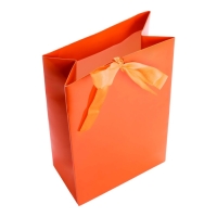 Пакет подарочный с лентой &laquo;Красный&raquo; 13 х 23 х 7 см, 1 шт.