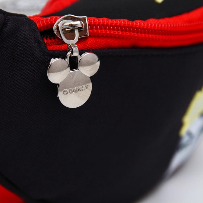 Сумка поясная, 25х6х13 см, Злодейки