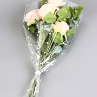 Пакет для цветов конус мини "Алиса", 30 х 60 см