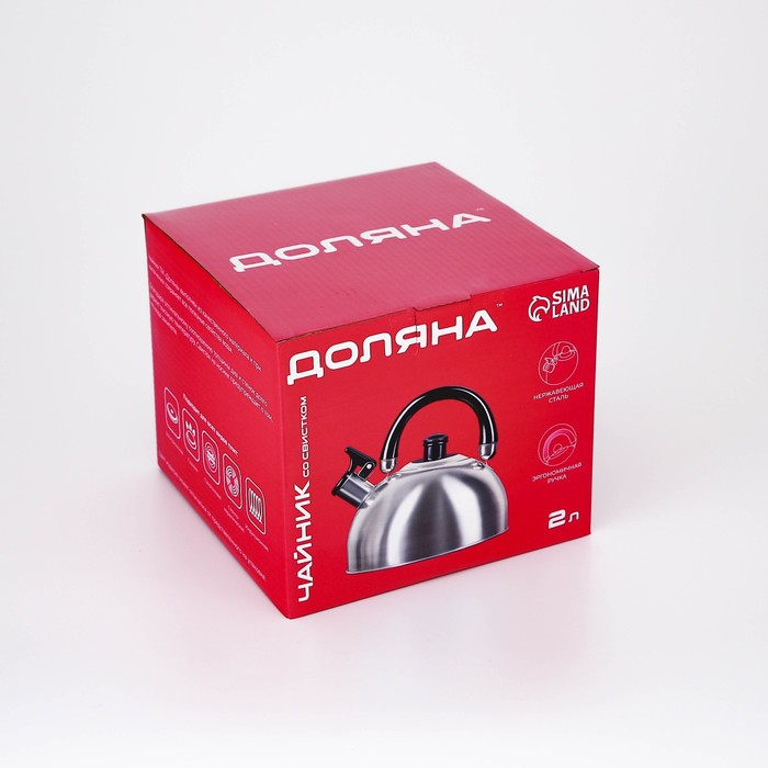 Чайник со свистком из нержавеющей стали Доляна &laquo;Чёрная ночь&raquo;, 2 л, индукция, цвет хромированный