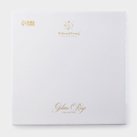 Тарелка глубокая WY Golden rays, d=22 см, фарфор, белая Тарелка глубокая WY Golden rays, d=22 см, фарфор, белая