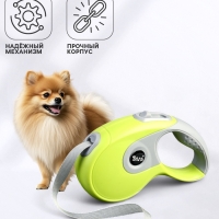 Рулетка DIIL, 3 м, до 10 кг, лента, прорезиненная ручка, зеленая с серым