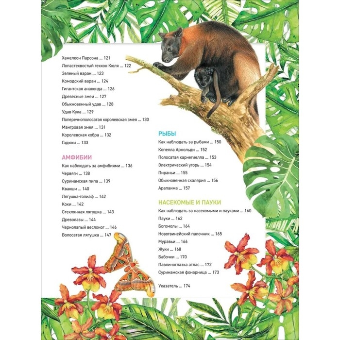 Энциклопедия &laquo;Удивительные животные&raquo;