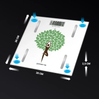 Весы напольные электронные PWS 1857DGF