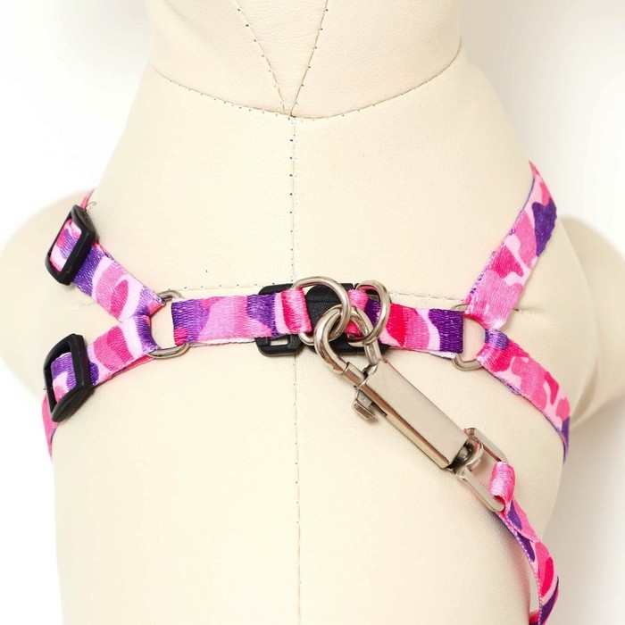 Комплект "Камуфляж", капрон, ширина 1см,шлейка 21-35 см,поводок 120 см, капрон, розов/фиолет