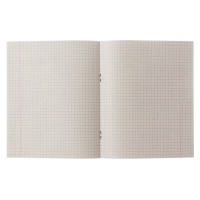 Комплект тетрадей из 20 штук, 24 листа в клетку КПК "Зелёная обложка", 60 г/м2, блок №2, белизна 75% (серые листы)