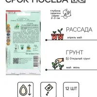 Семена Огурец Салатный герой, F1,12шт