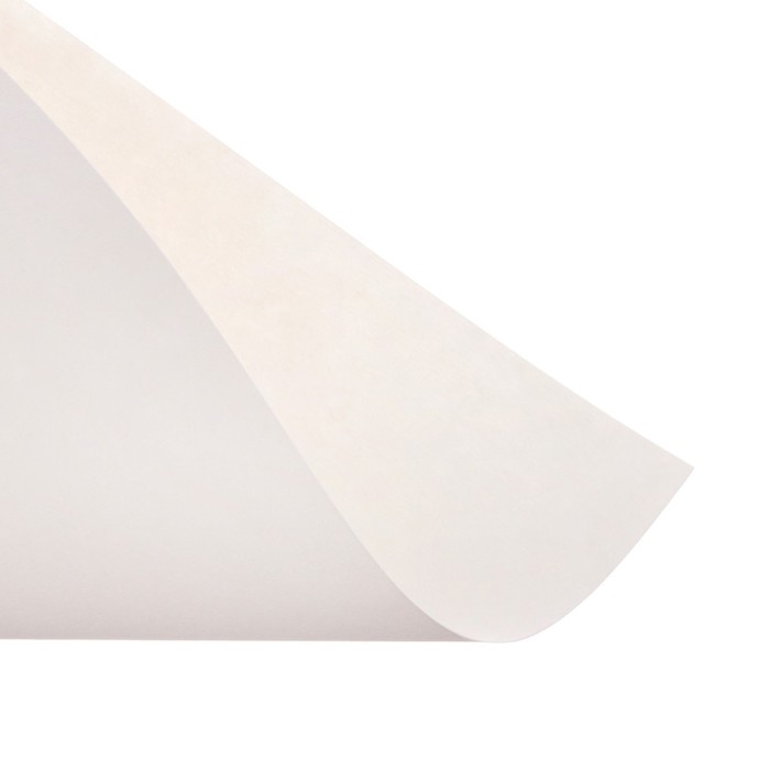 Картон белый А4, 8 листов Картон белый А4, 8 листов "Котенок", немелованный, плотность 220 г/м2, в папке