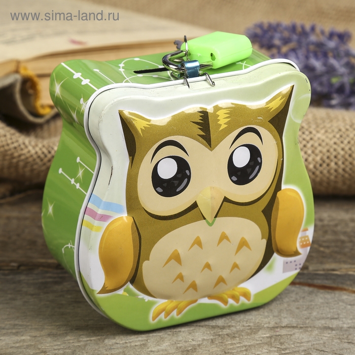 Копилка для денег с замком и ключом &laquo;Маленький совёныш&raquo;, метал, 8.5&times;9&times;4.5 см, МИКС