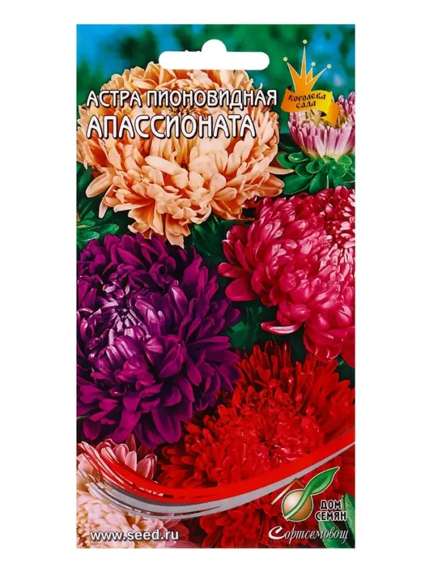 Семена цветов Астра пион. Апассионата смесь 80 шт