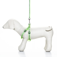 Комплект со светоотражающей лентой, ошейник 120 х 1 см, ОГ 26-40 см, зеленый