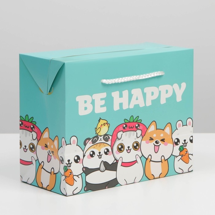 Пакет&mdash;коробка, подарочная упаковка, &laquo;Present&raquo;, 23 х 18 х 11 см