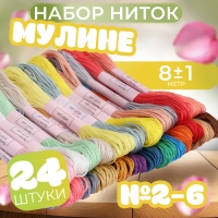 Набор ниток мулине, №2 - №6, 8 &plusmn; 1 м, 24 шт