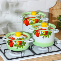 Набор кастрюль &laquo;Дары лета&raquo;, 3 предмета: 2 л, 3,5 л, 5,5 л, индукция